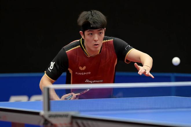 快船球迷的 快船球迷的