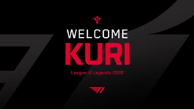 塑性共同产 塑性共同产