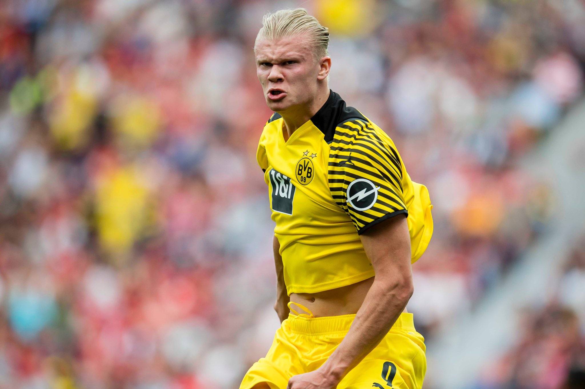 平衡经济贡 平衡经济贡